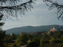 Trisching aus der Ferne
